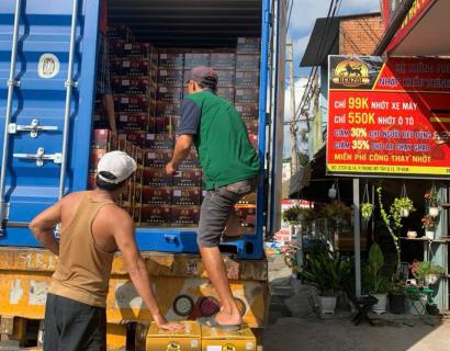 Hoạt động của công ty