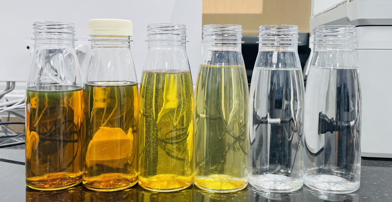 Hoạt Động Của Công Ty