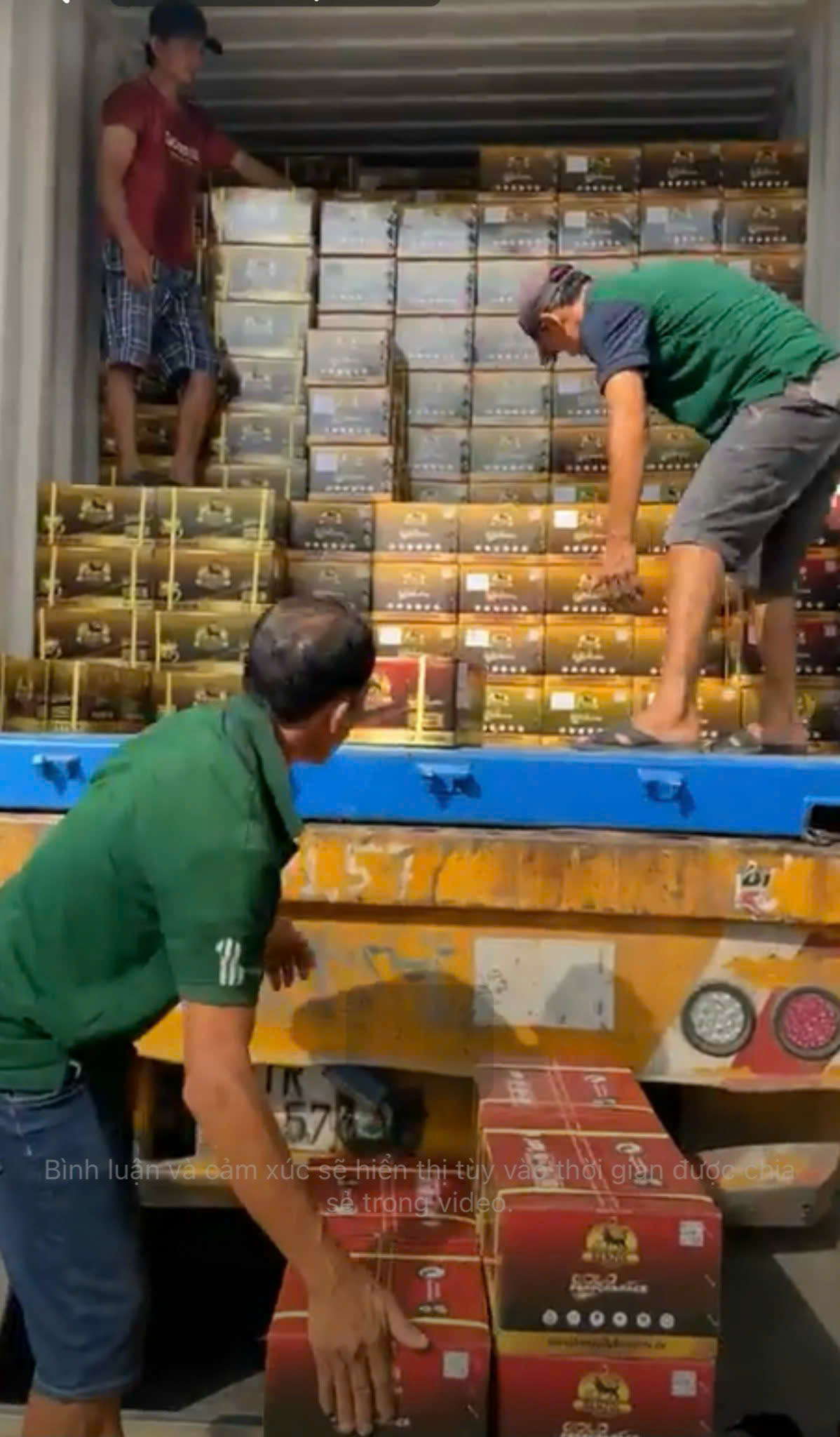 Hoạt động của công ty