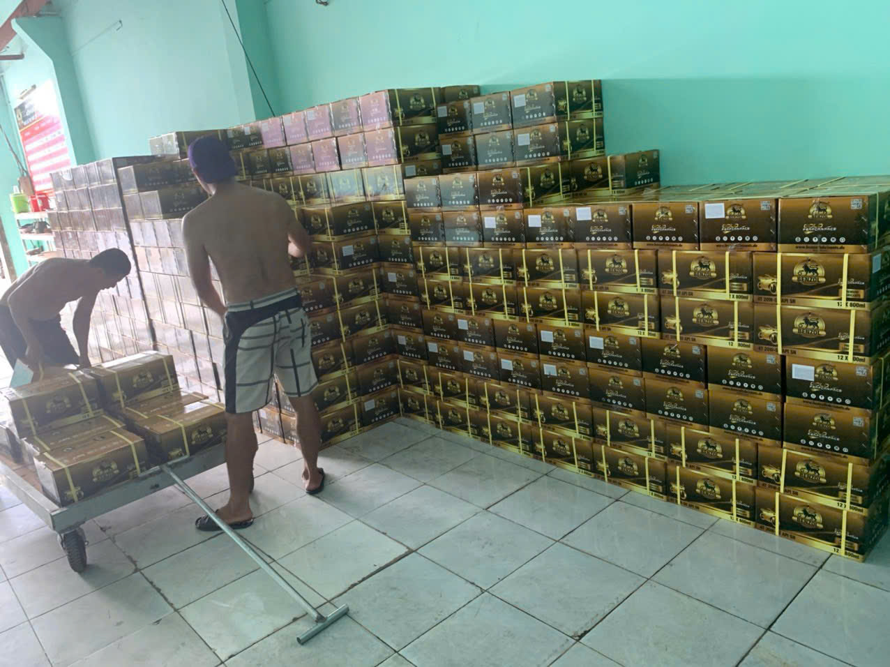 Hoạt động của công ty